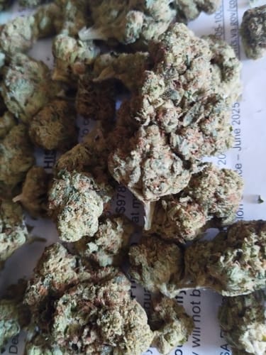 Customer photo review of Alien OG Indoor - 28 Grams - Indica