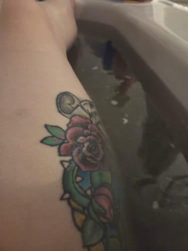 Customer photo review of Witch's Woods Bundle