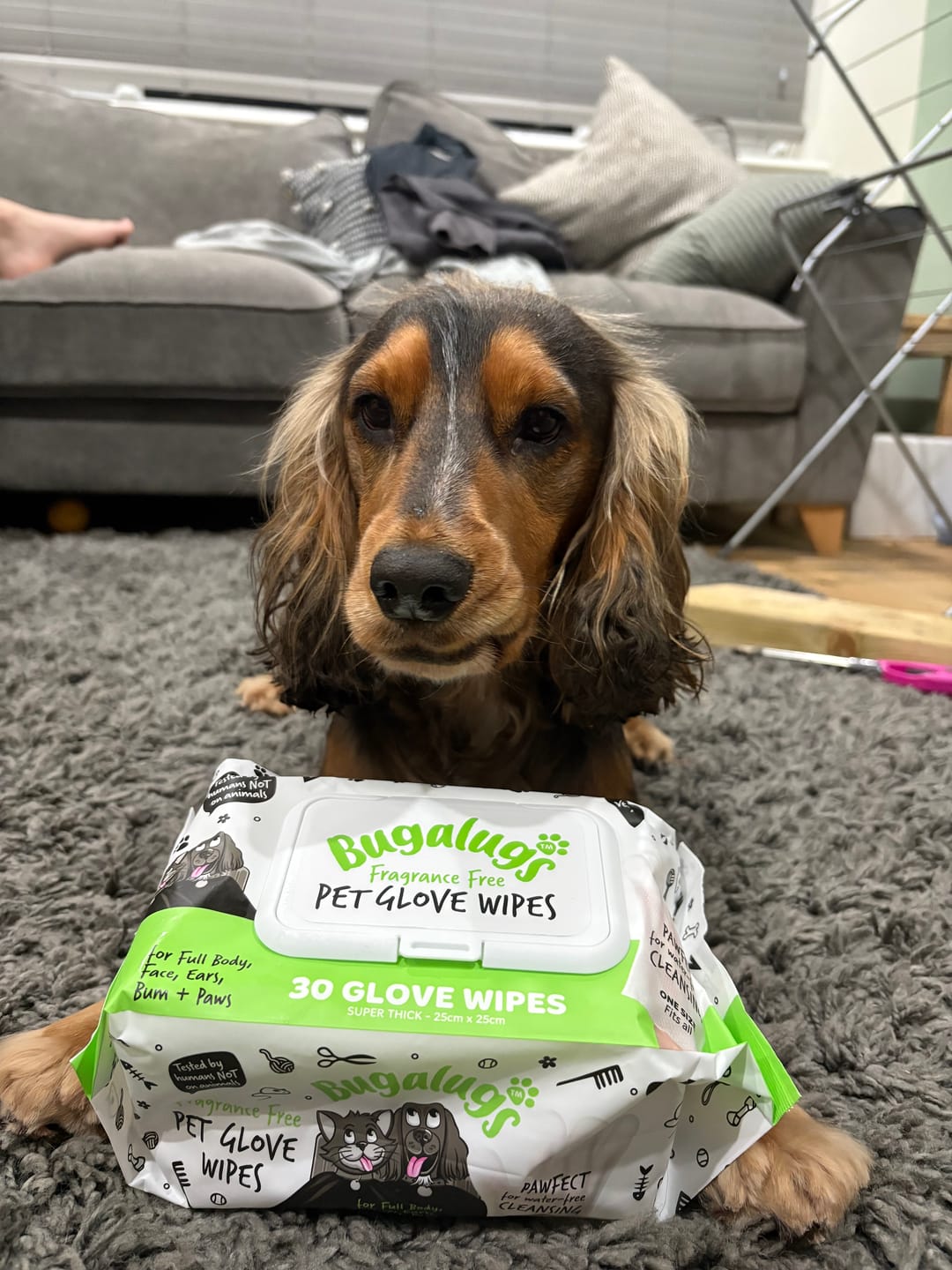 Customer photo review of Glove Pet Wipes for Full Body, Bum & Paws