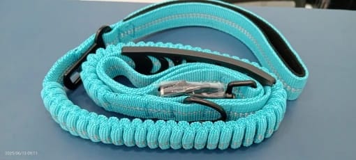Customer photo review of Bungee Leash