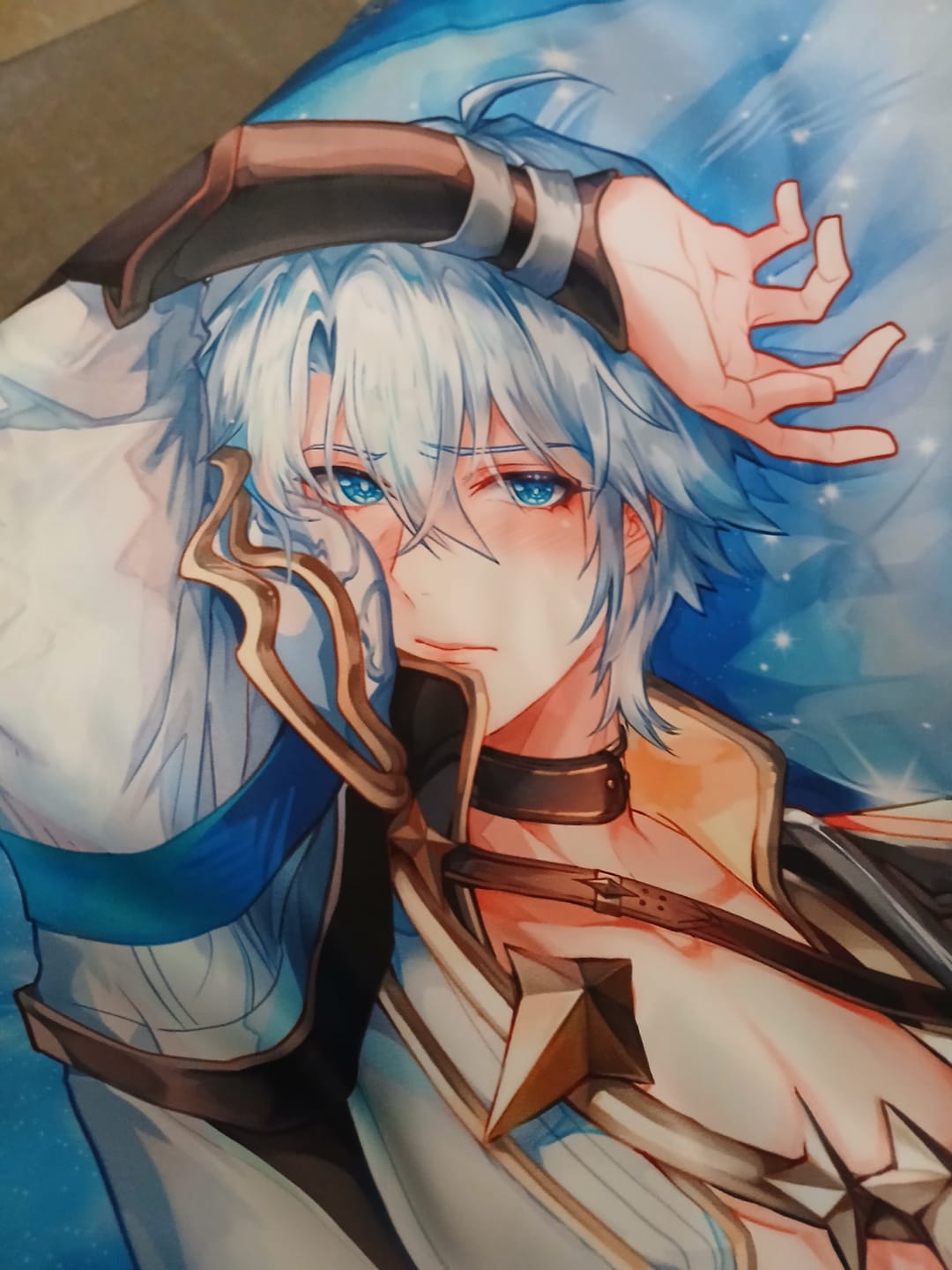 Customer photo review of Phainon Dakimakura (3D Chest Available)