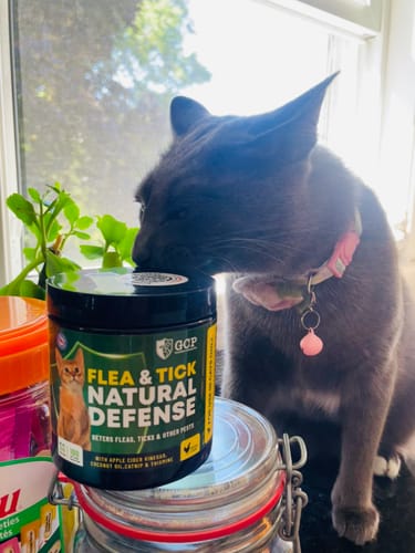 Customer photo review of GCP Flea & Tick Natural Defense for Cats - 100 Soft Chews
