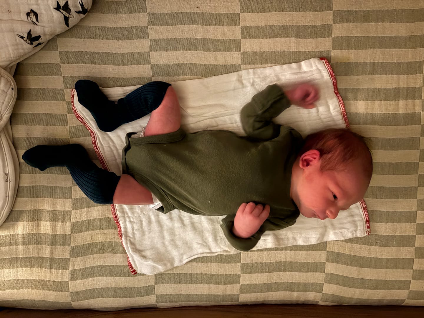 Customer photo review of Wool Socks, Baby and Toddler, Pine