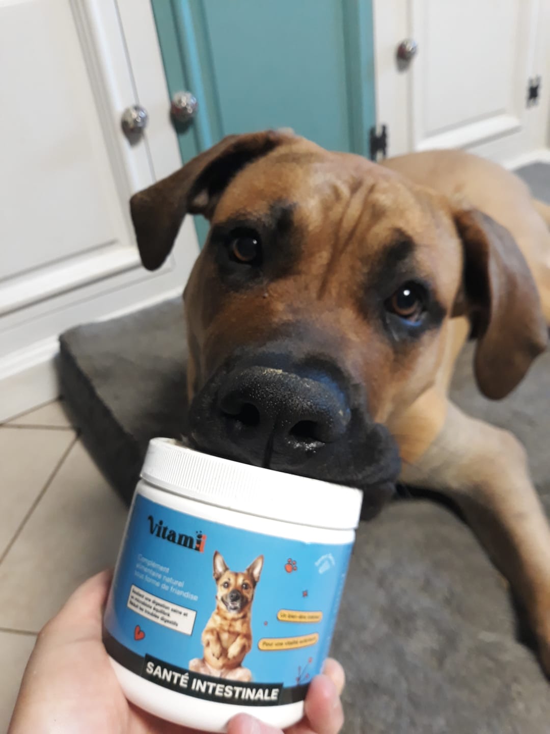 Customer photo review of Friandises Naturelles Santé Intestinale