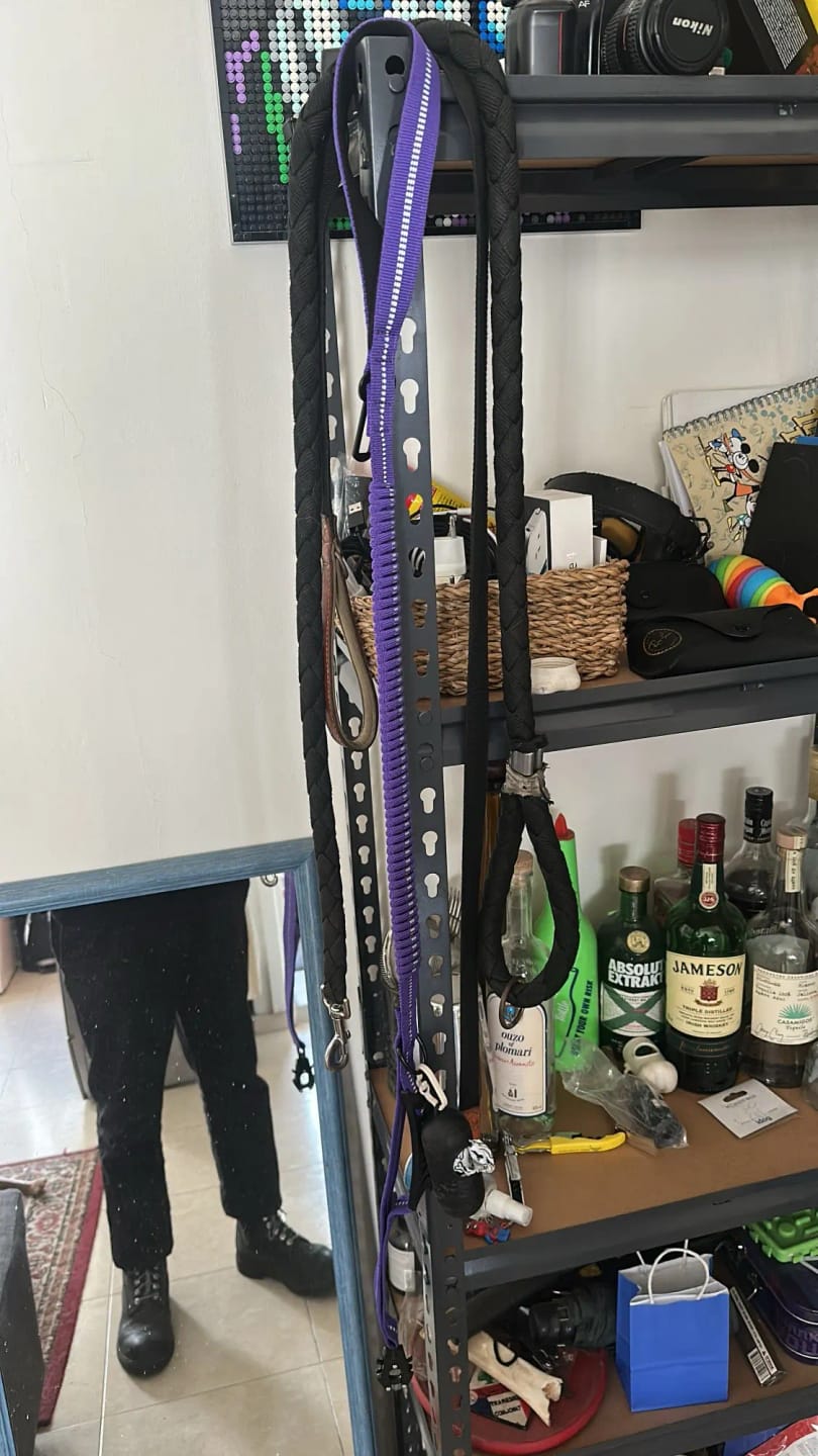 Customer photo review of Bungee Leash