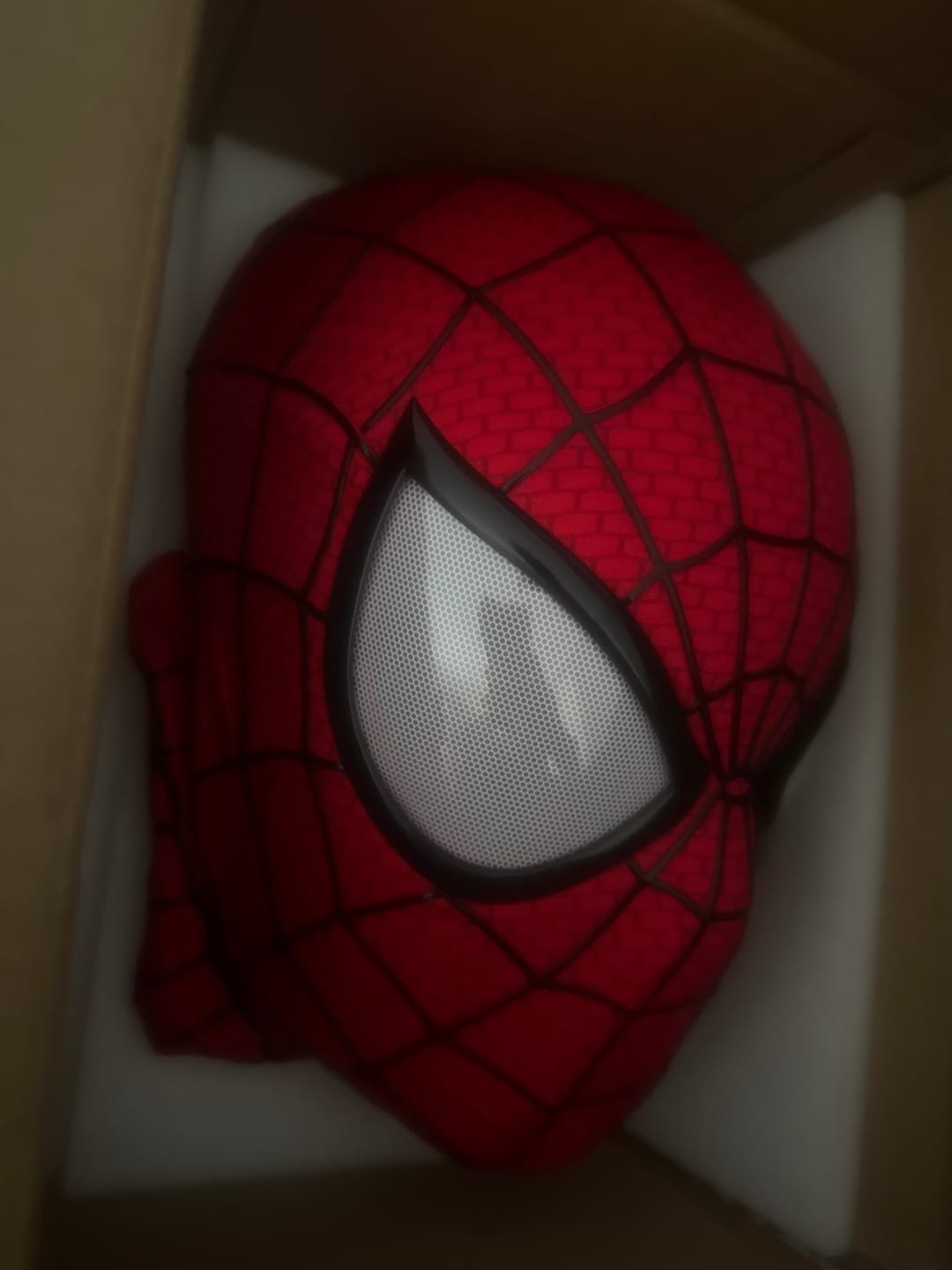 Customer photo review of The Amazing Spider-Man 2 Mask ( Cosplay Version)