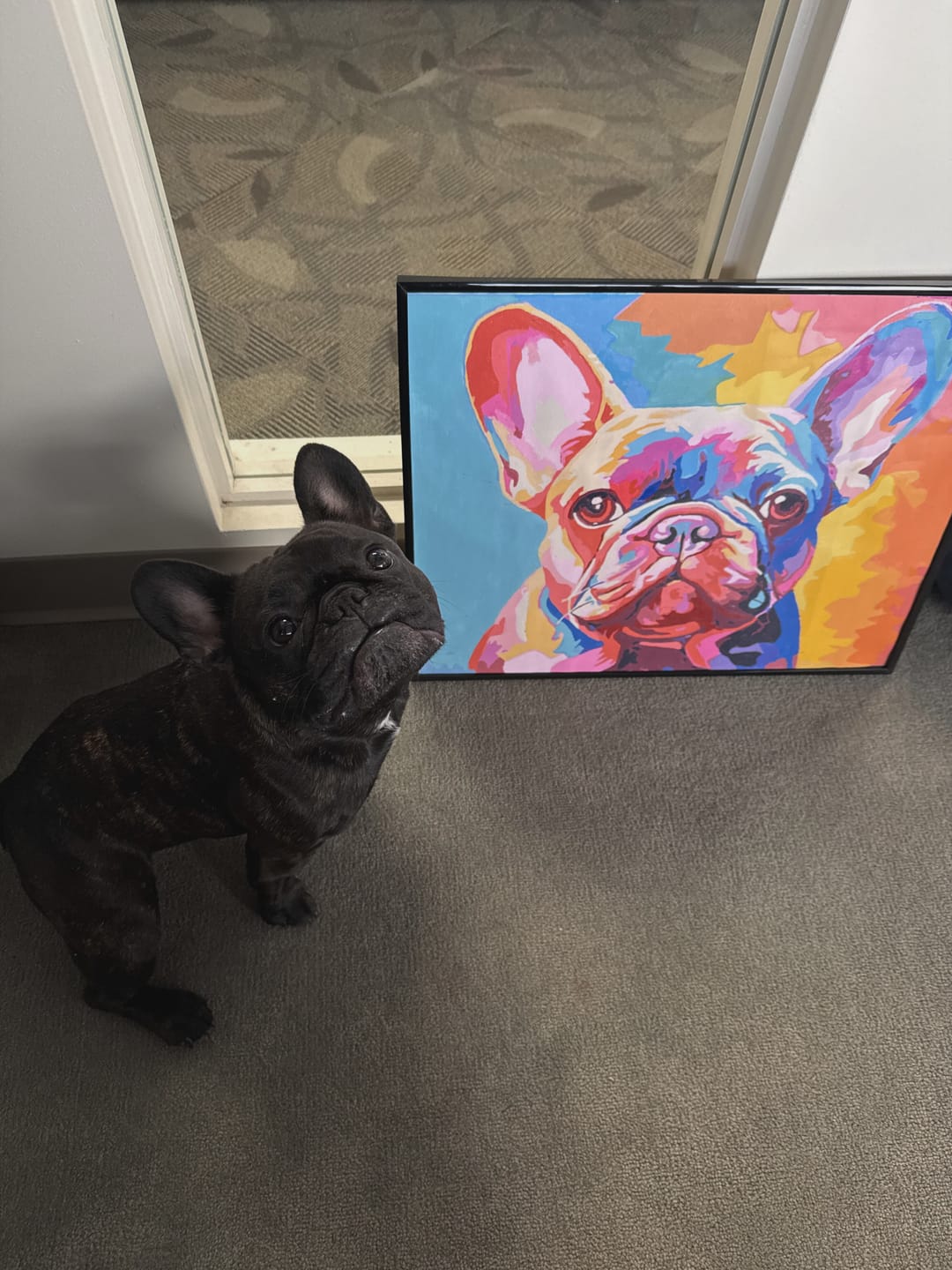 Customer photo review of Frenchie's Soul