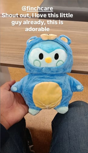 Customer photo review of Blue Mini Plushie: Small but Mighty in Care