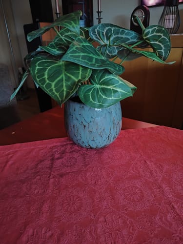 Customer photo review of Syngonium Kunstplant 30 cm
