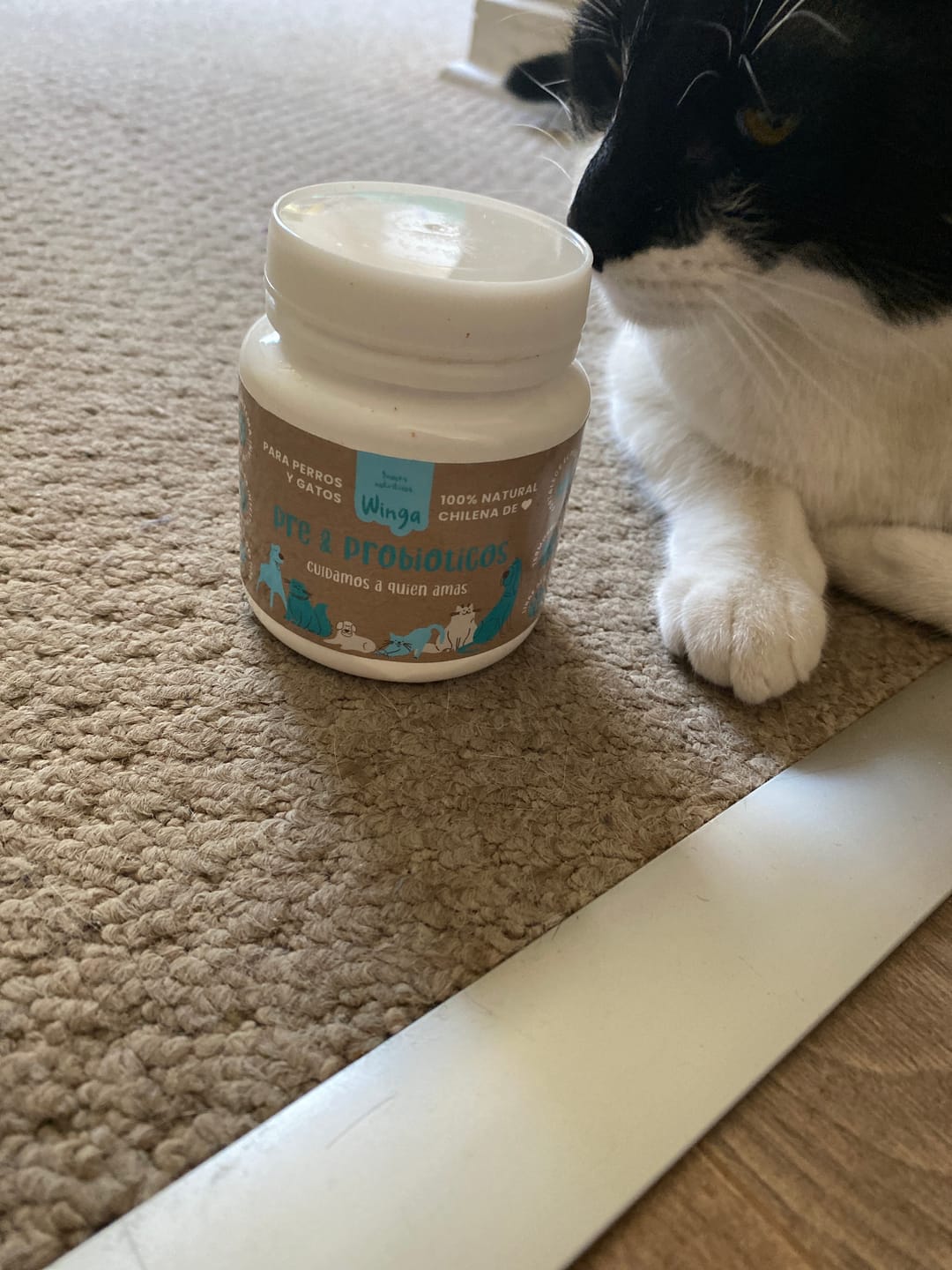 Customer photo review of Pre & Probióticos