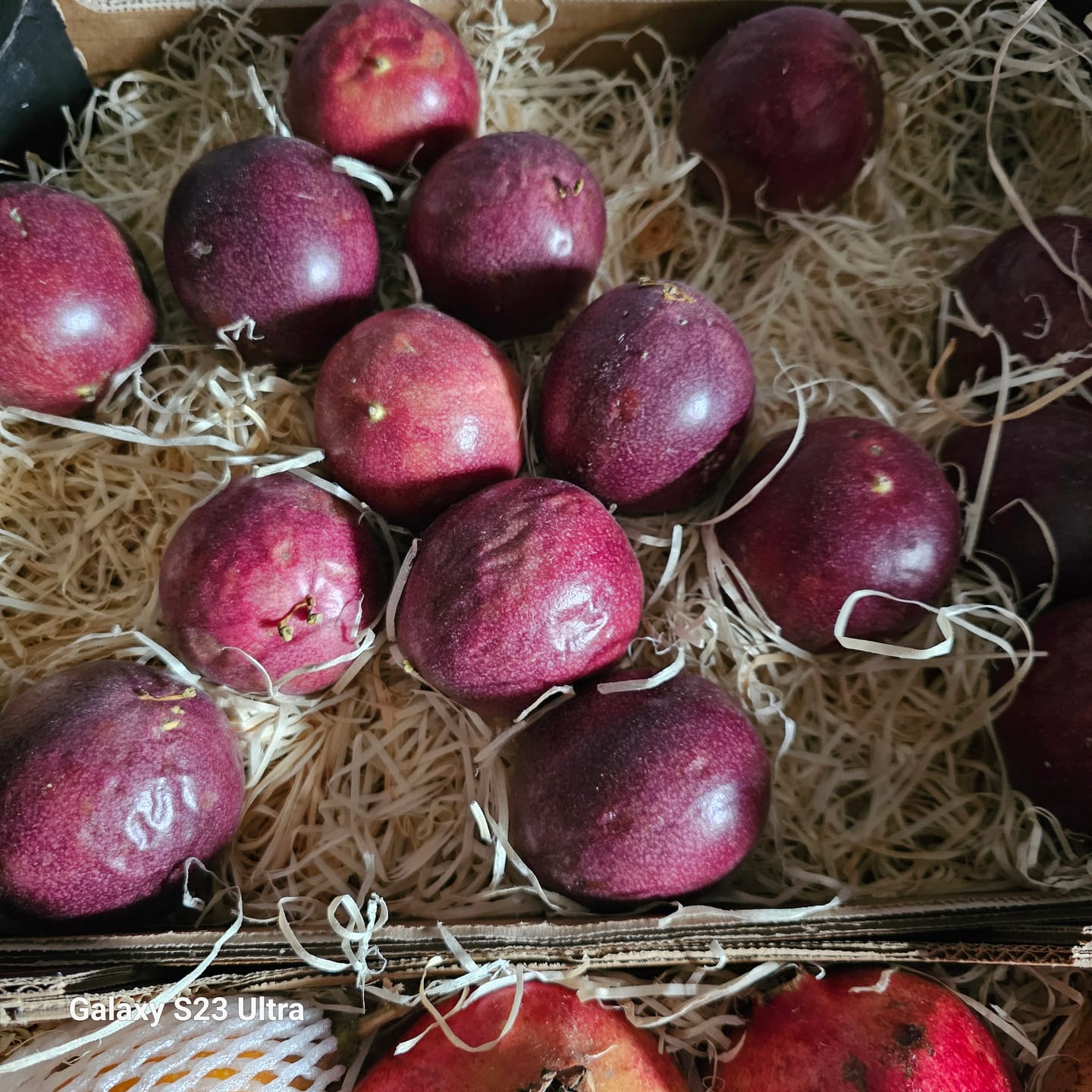 Customer photo review of Passionsfrüchte rot Bio von Salvador
