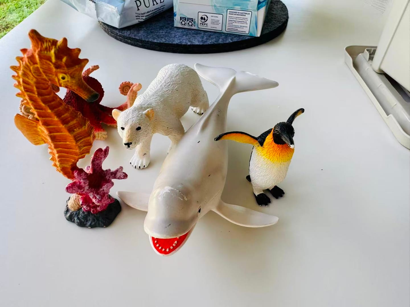 Customer photo review of Mideer Marine Animals Toys 11Pcs