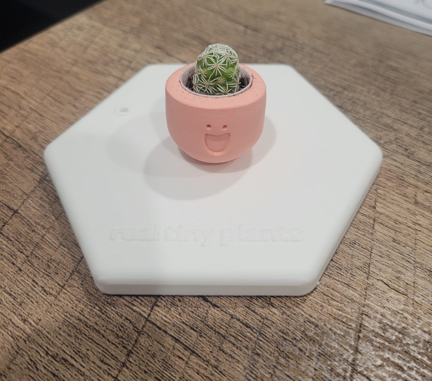 Customer photo review of LOL