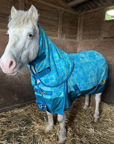 Customer photo review of Oh My Mermaid Stable Rug