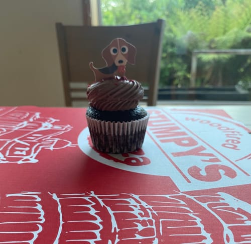 Customer photo review of Cupcakes