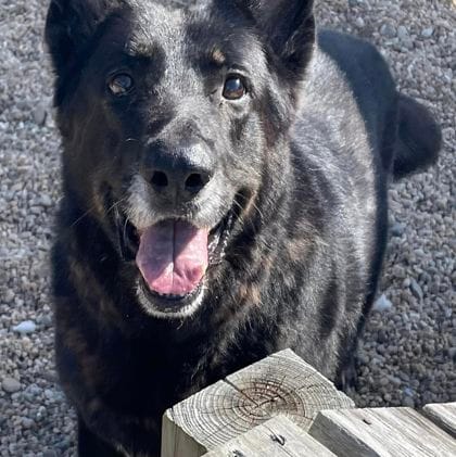 Customer photo review of Freedom Joint Drops - Hip Joint Support