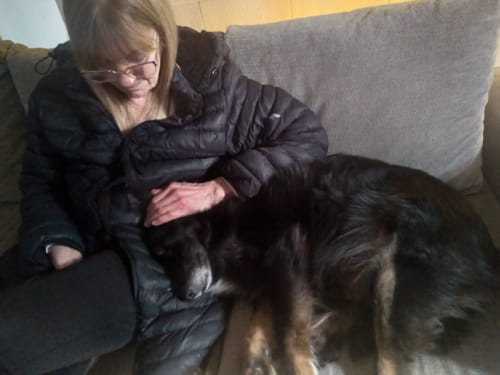 Customer photo review of Probioticos para perros | Fortalecé la salud de tu perrhijo desde adentro