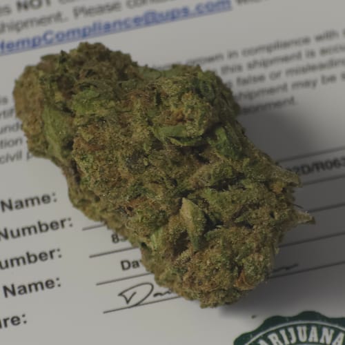 Customer photo review of Sherblato - Bulk - Hybrid