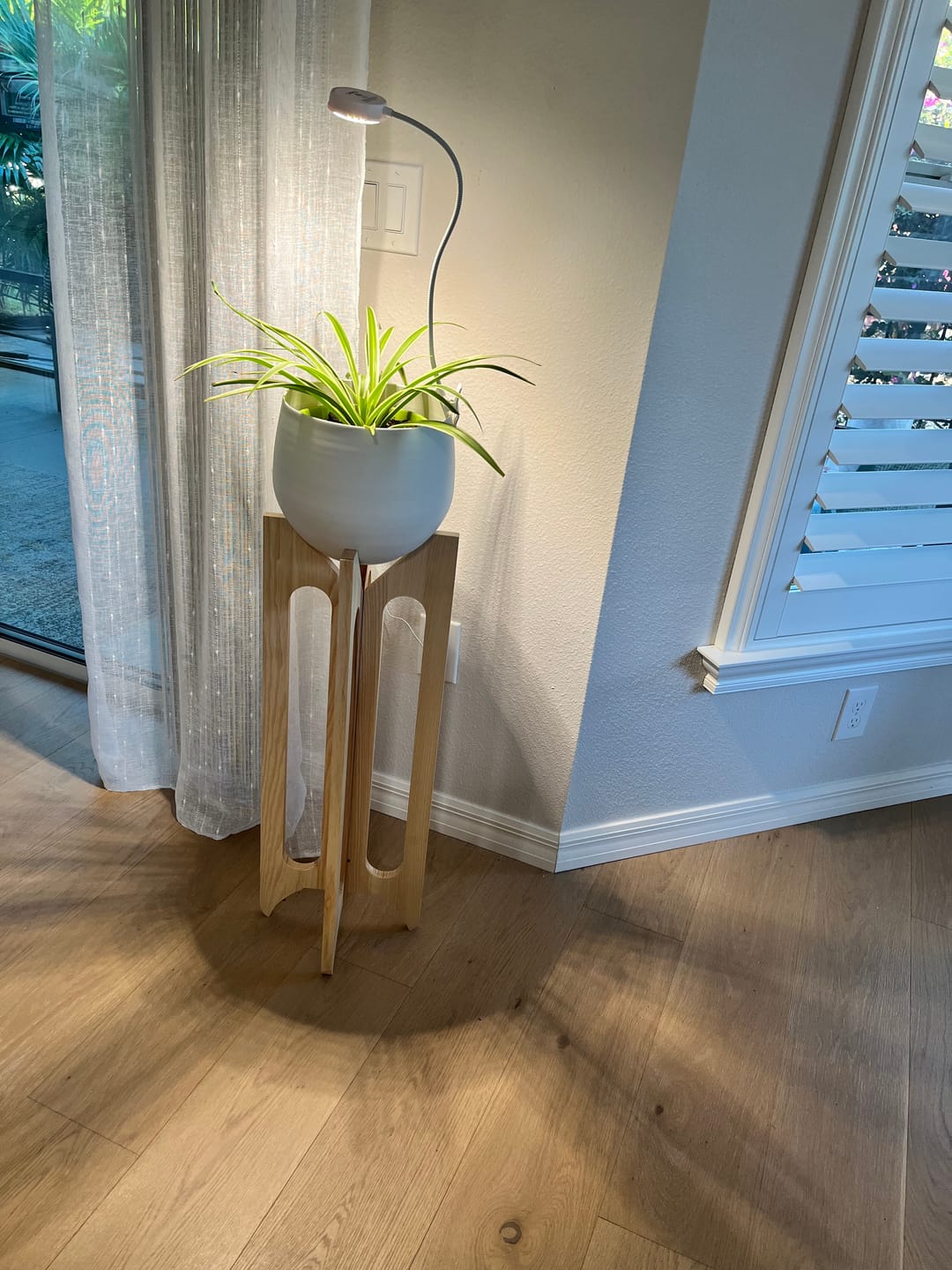 Customer photo review of Arches Plant Stand + Pot
