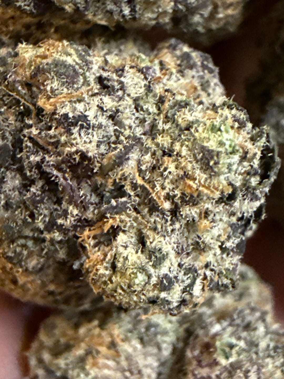 Customer photo review of Super Boof