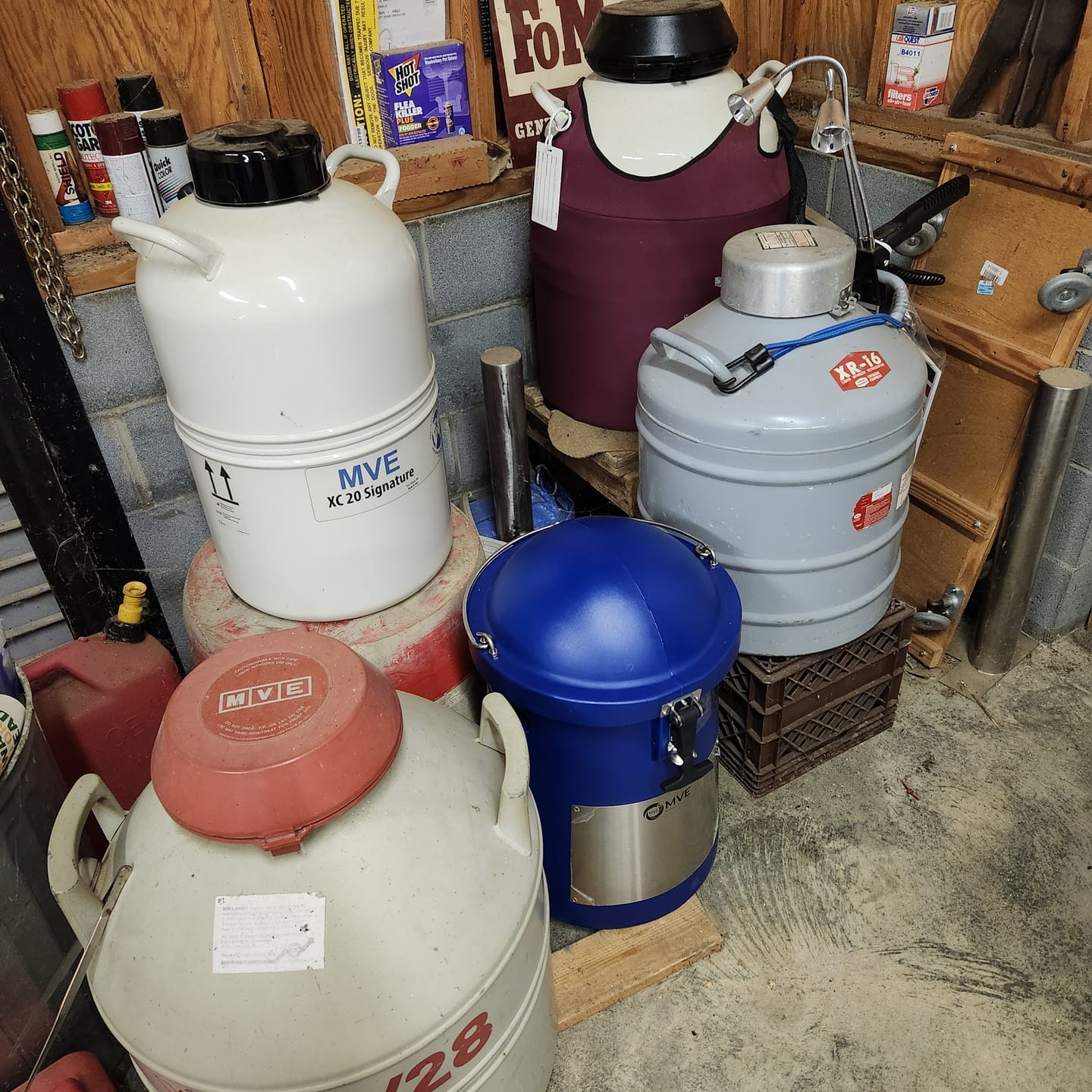 Customer photo review of MVE Next Generation SC 4/3 Vapor Shipper with Mushroom - 120 straws for 26 days