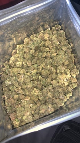 Customer photo review of THCA Queen