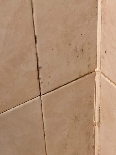 Customer photo review of Bathroom Concentrate 4x