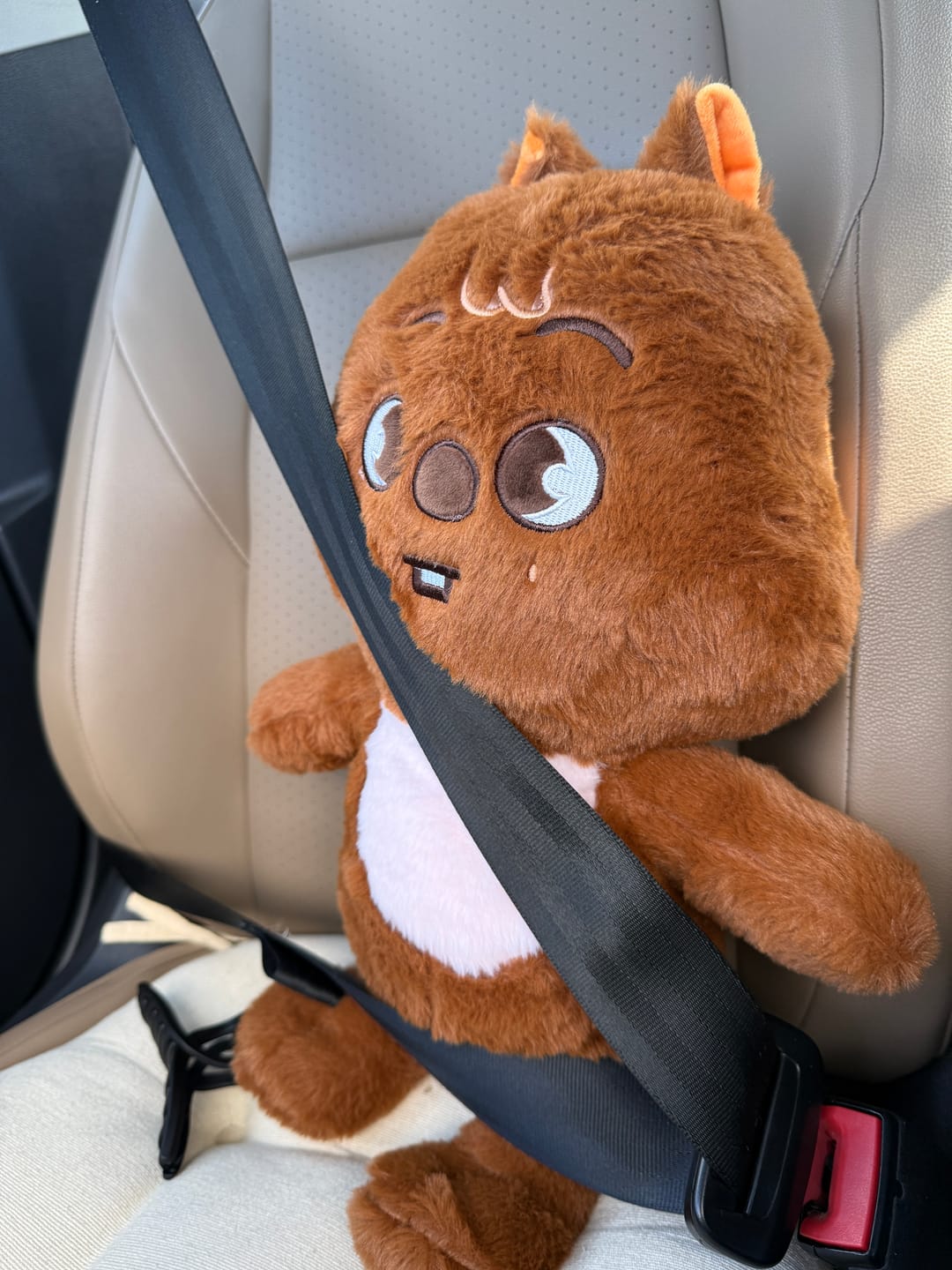 Customer photo review of SKZ Teddybear Plush