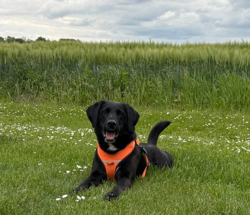 Customer photo review of Easy Squeezy