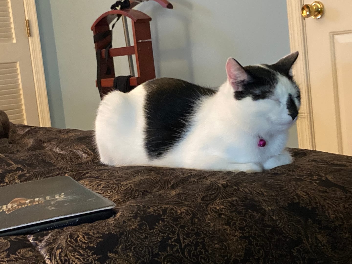 Customer photo review of Deluxe Silk Goose Down Comforter