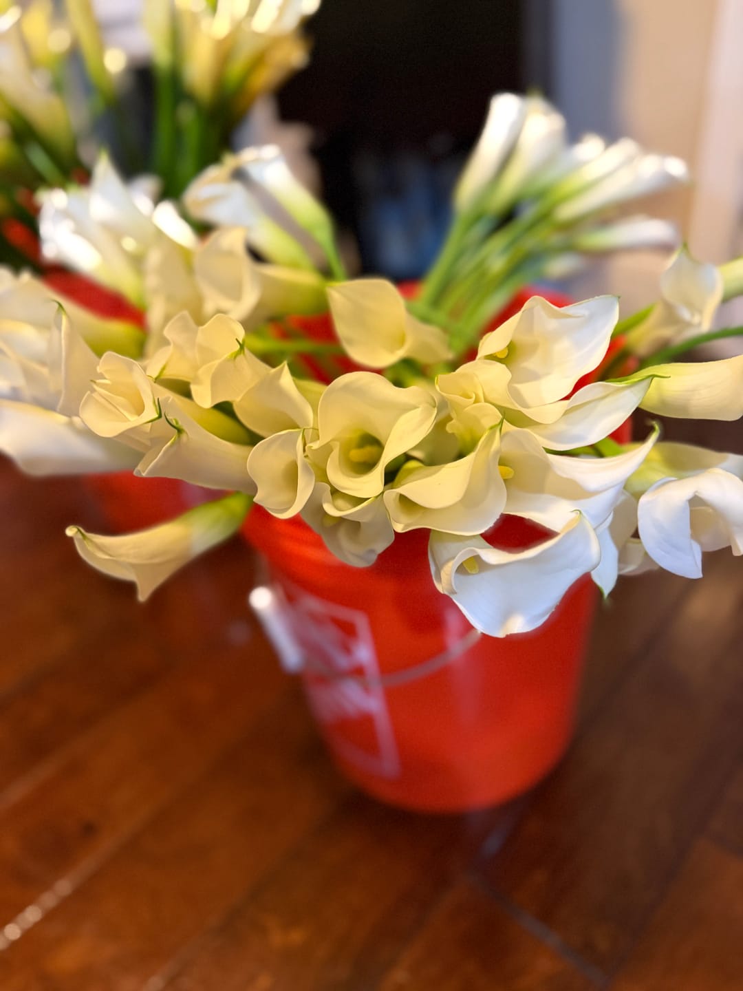Customer photo review of White Mini Callas
