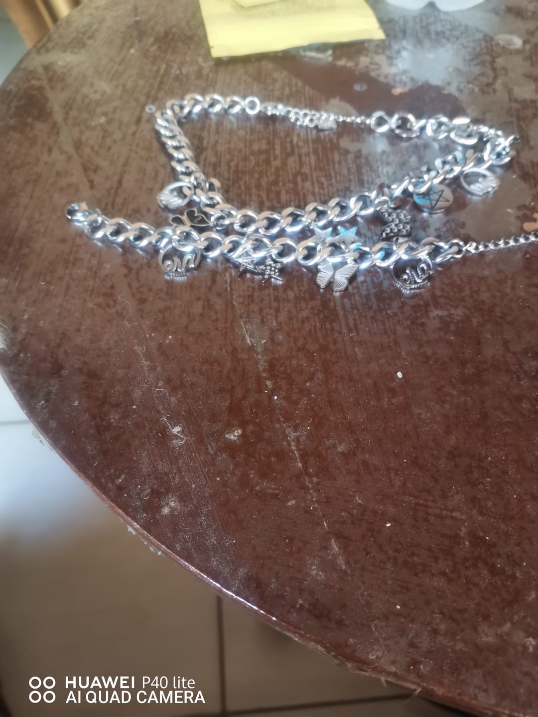 Customer photo review of Silver Era Charm Bracelet & Necklace Set