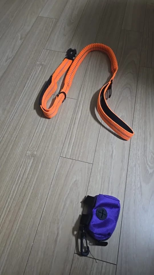 Customer photo review of Bungee Leash