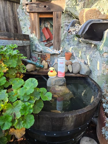 Customer photo review of Variety Sampler | Kava Tonic