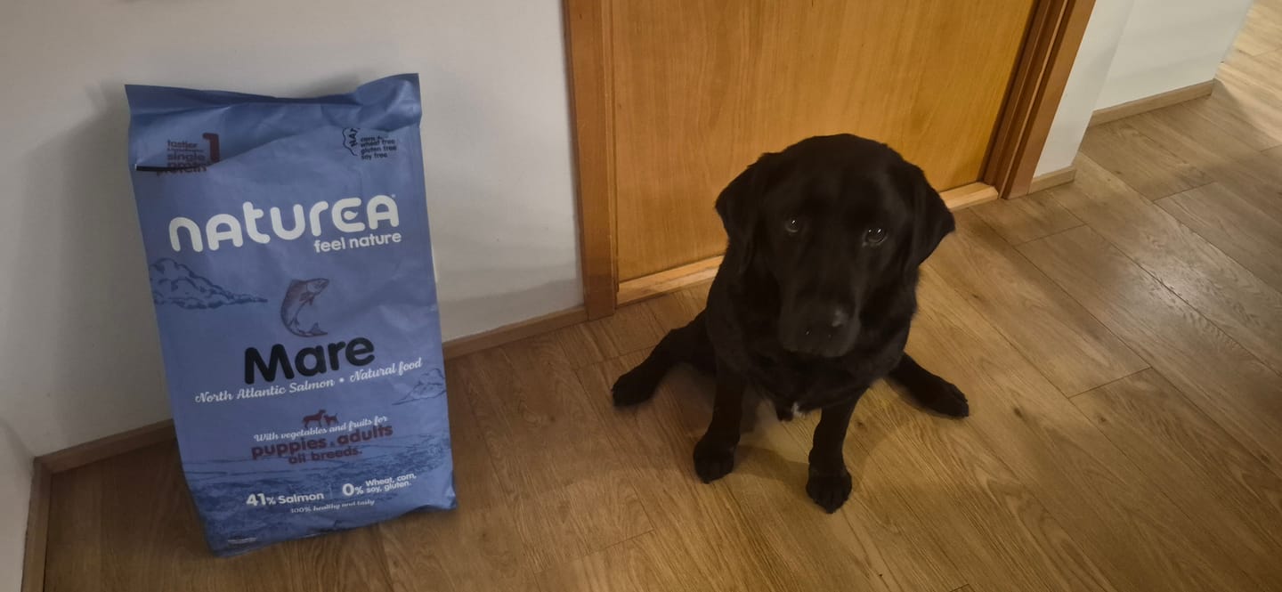 Customer photo review of Naturals hundafóður - Mare North Atlantic Salmon