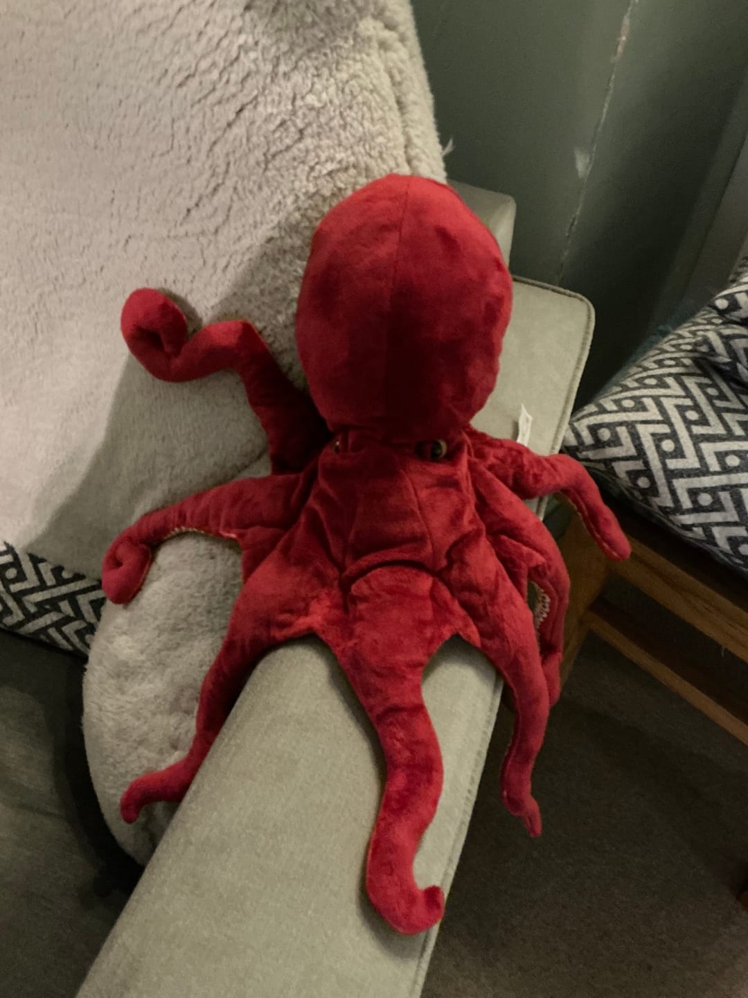 Customer photo review of Red Octopus Soft Stuffed Plush Toy