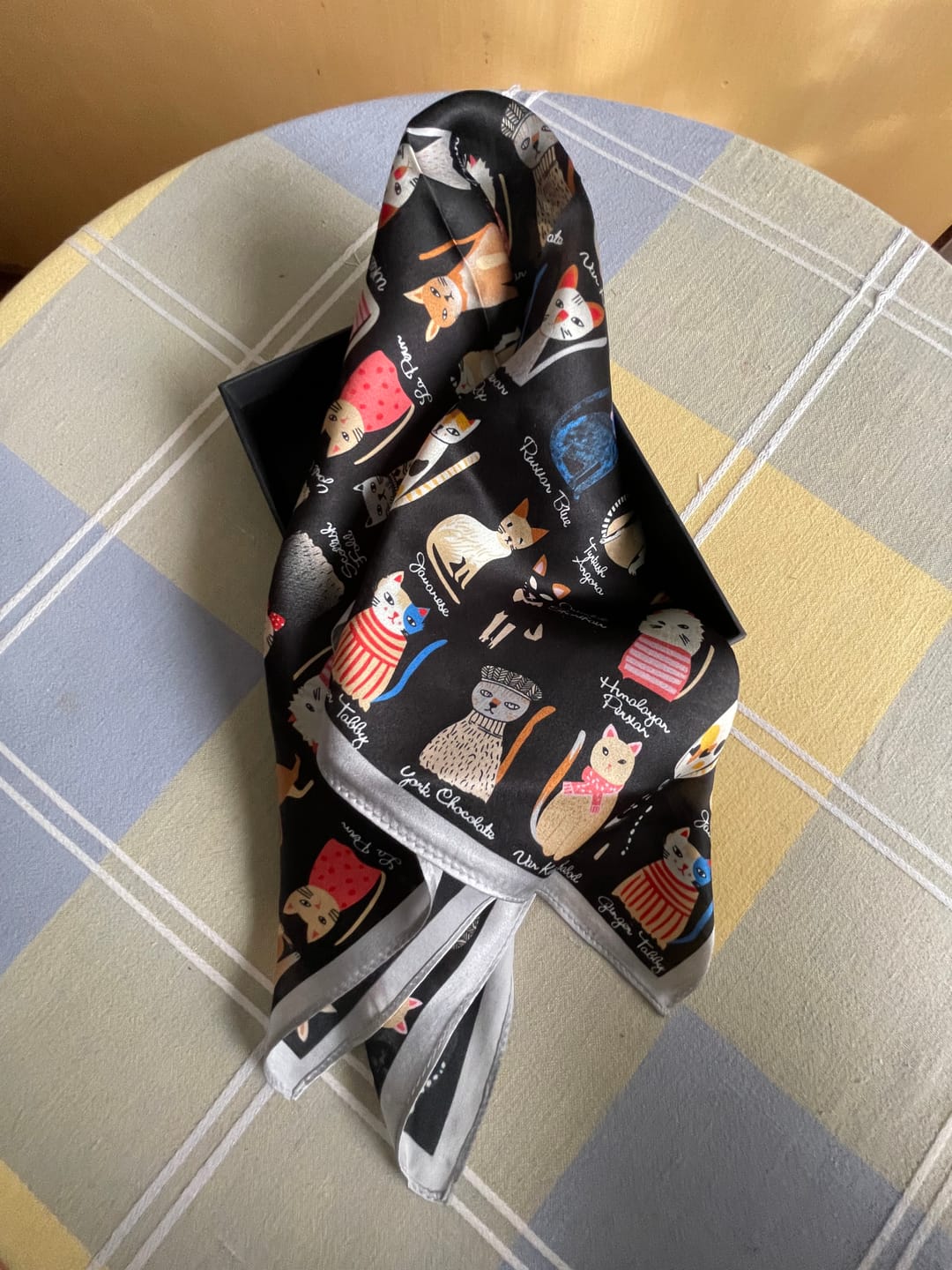 Customer photo review of Diana Foulard (100% Seta - 53cm)