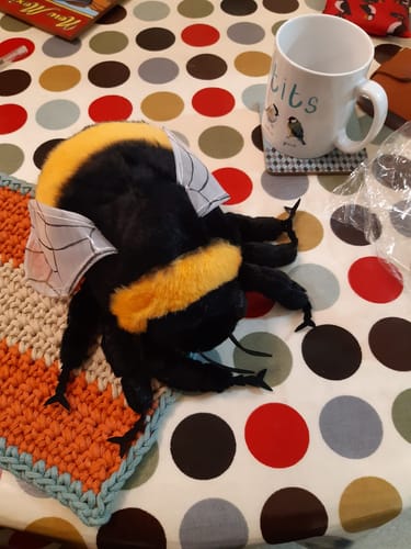 Customer photo review of Bumblebee Soft Stuffed Plush Toy