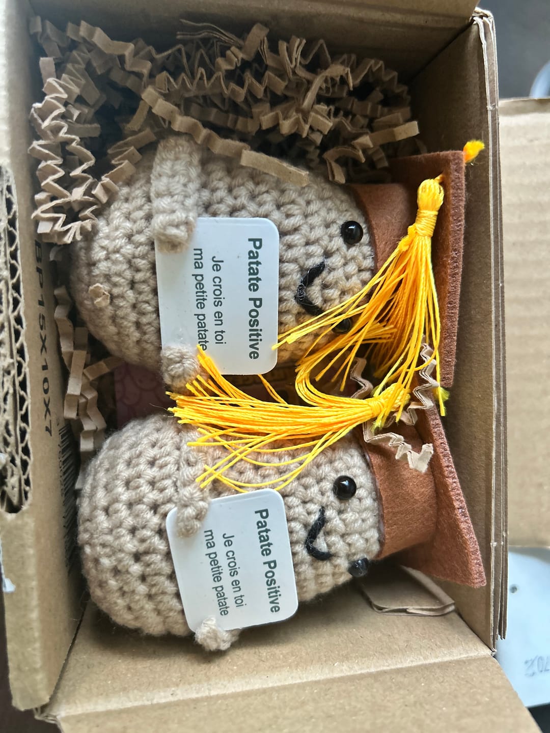 Customer photo review of Raymond