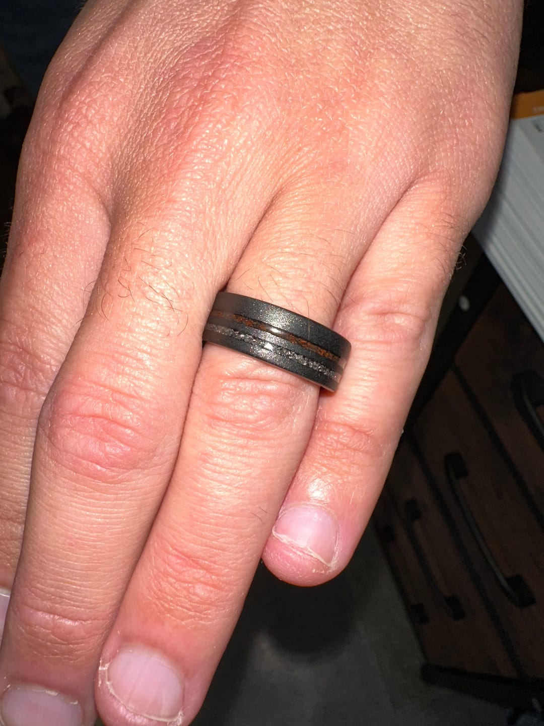 Customer photo review of The Meteorsaur