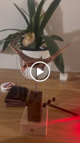 Customer video review of Handcrafted Wooden Manta Ray Automaton