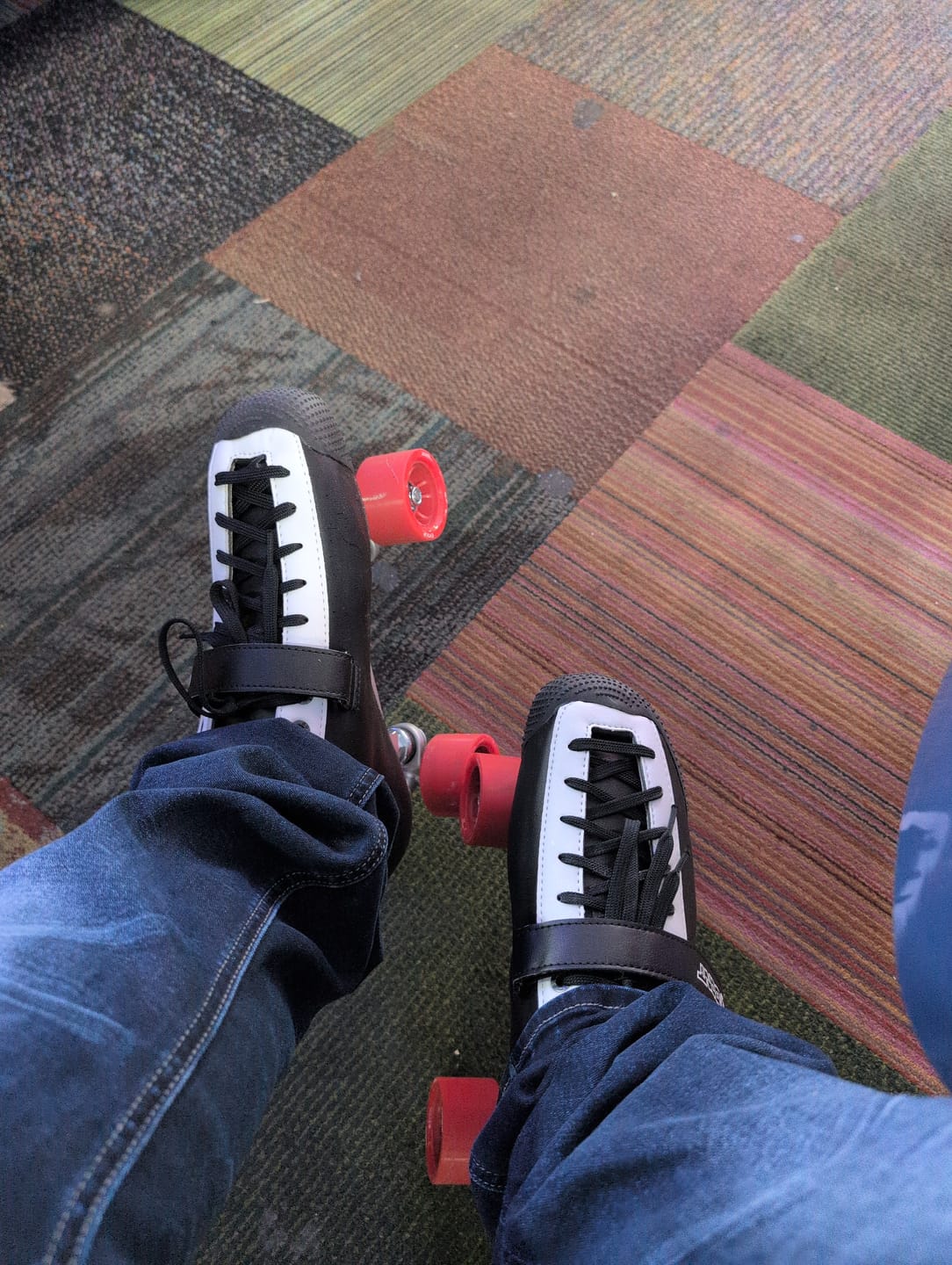 Customer photo review of BONT PRO roller Skate Bearings