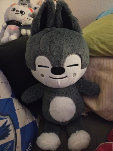 Customer photo review of SKZ Teddybear Plush