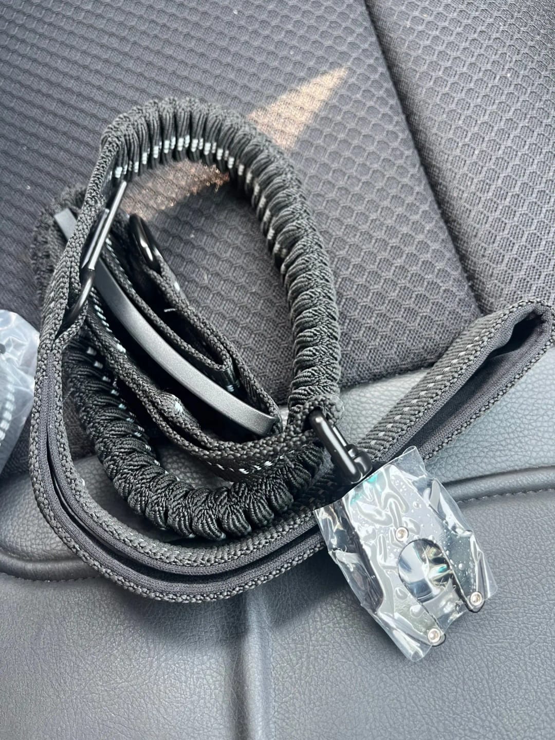 Customer photo review of Bungee Leash