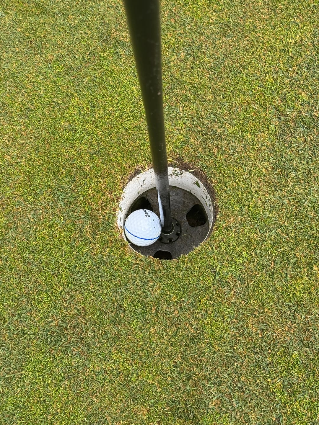 Customer photo review of Exotics E725 Irons