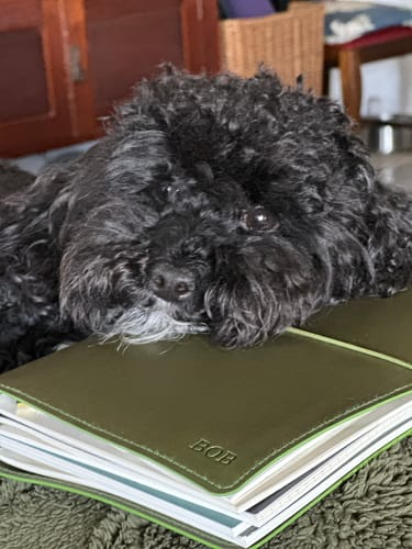 Customer photo review of Fast Brain Daily Productivity Planner- Single Notebook