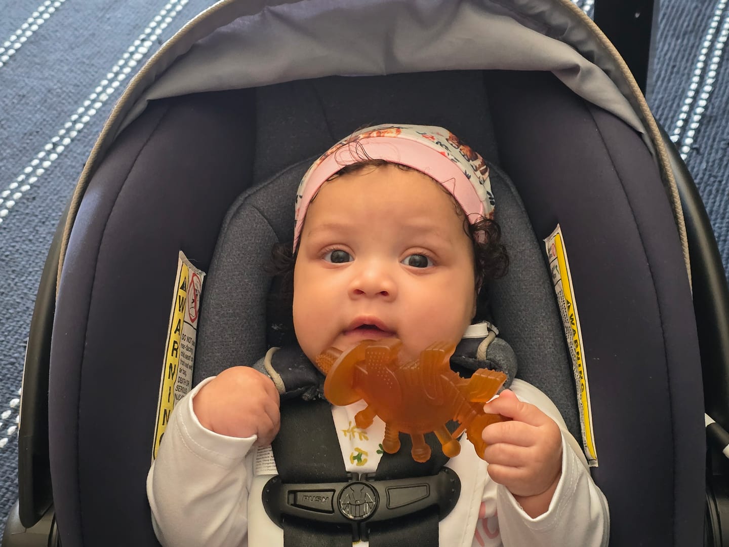 Customer photo review of Dibly Amber - Baltic Amber & Natural Rubber Dinosaur Teether with Toothbrush Tail