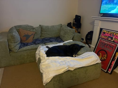 Customer photo review of R4 Loveseat Sofa