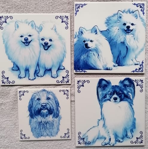 Customer photo review of Gepersonaliseerd Delfts Blauw Tegeltje – Upload Huisdier Foto