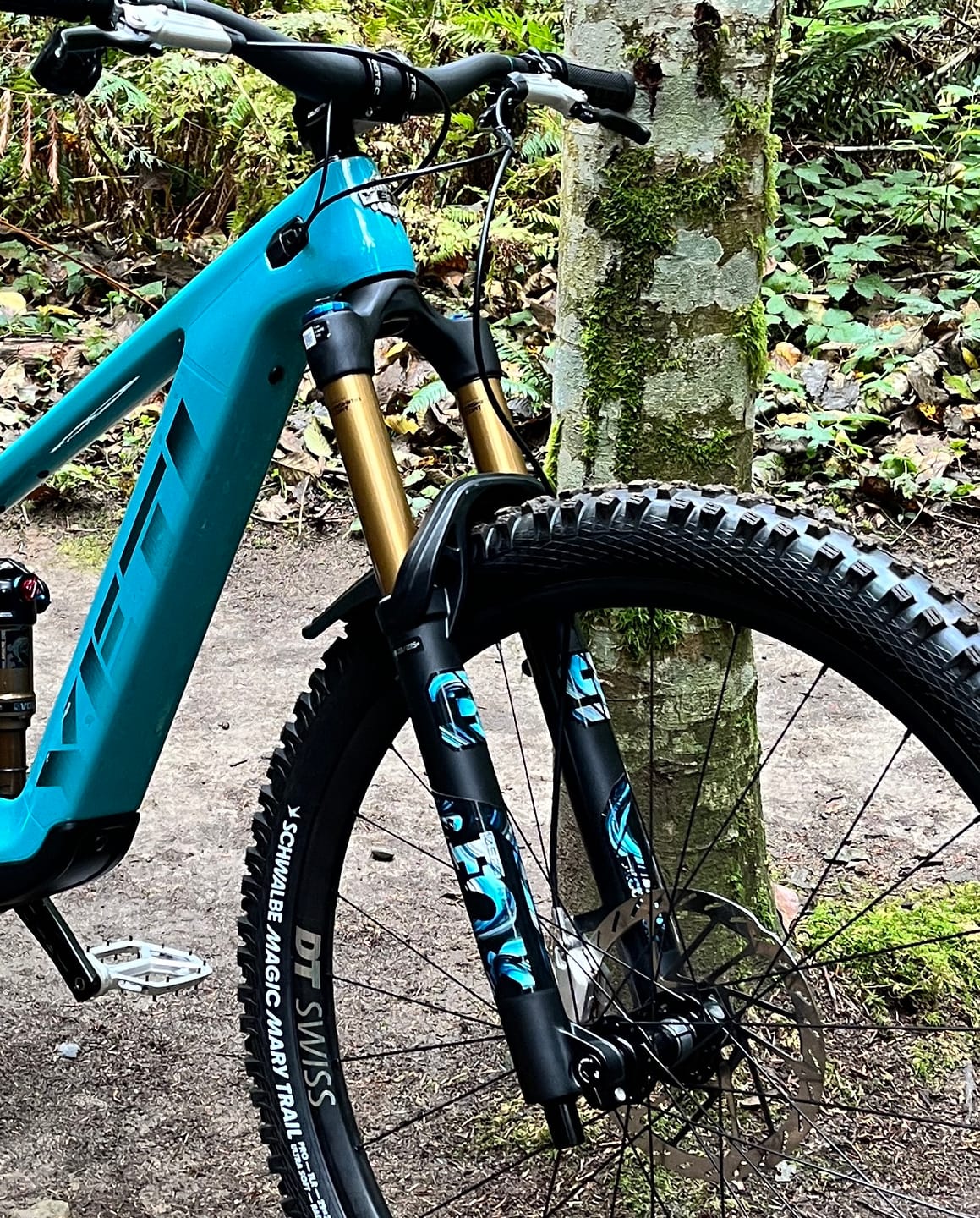 Customer photo review of Custom Fox 36 Decal